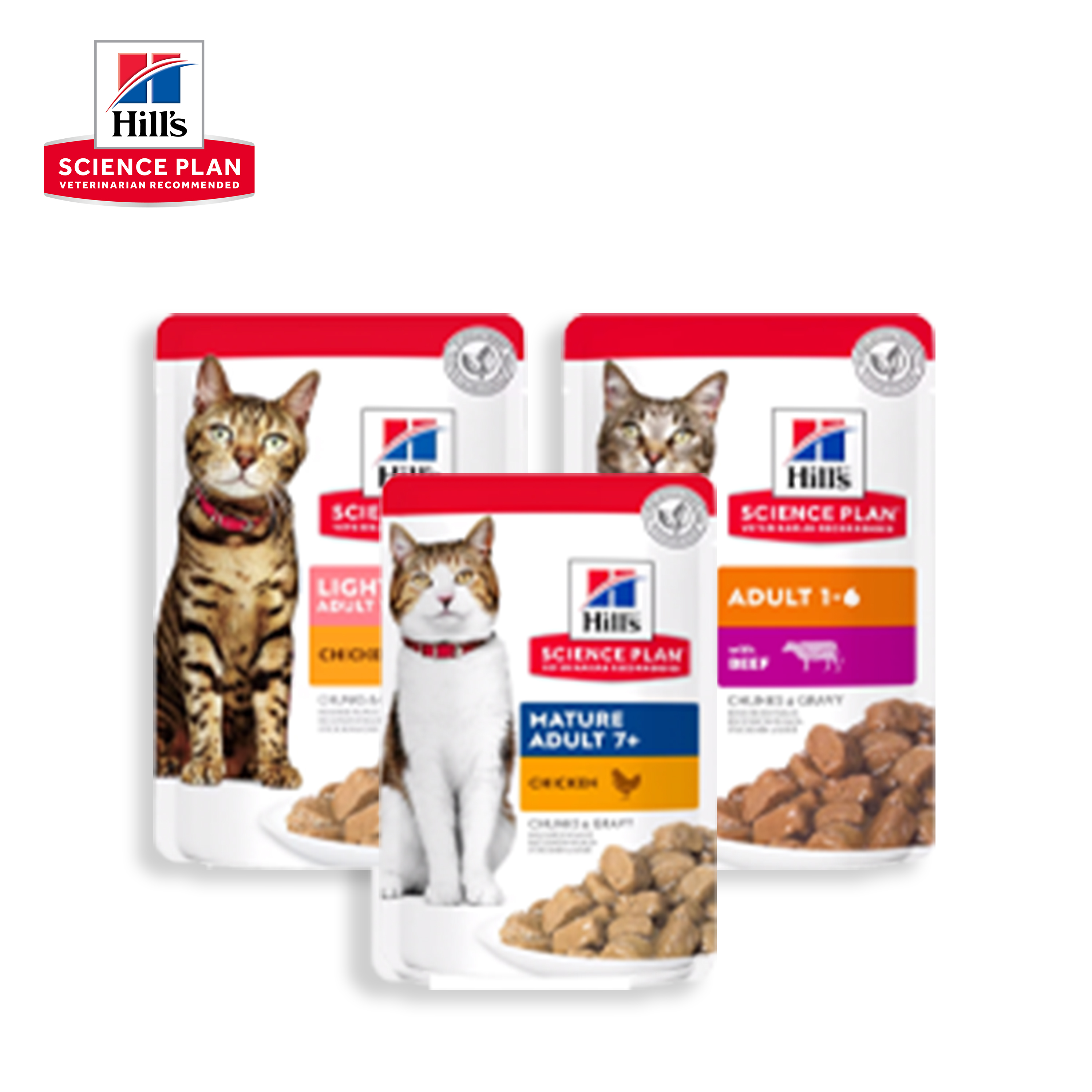 Hill's gamme science plan humide pour chats