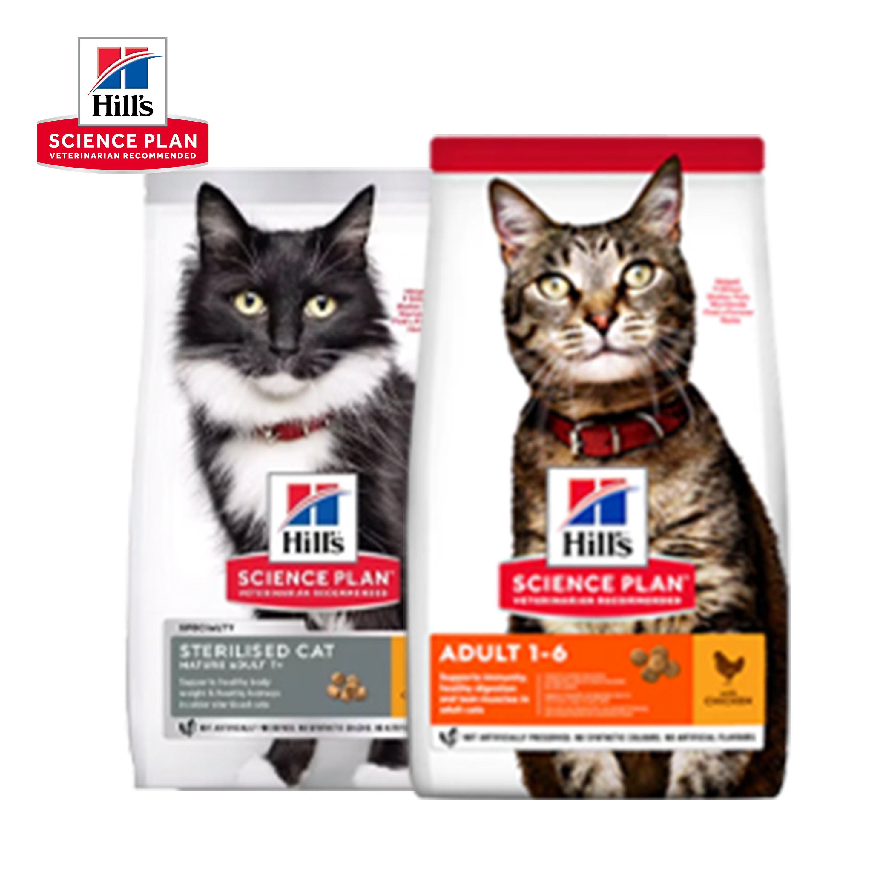 Hill's gamme science plan croquettes pour chats