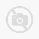 Royal Canin Digestive Care pour chien 12 x 85g